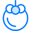 Mangosteen icon 64x64