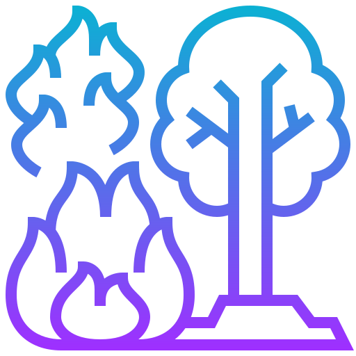 Forest fire icon