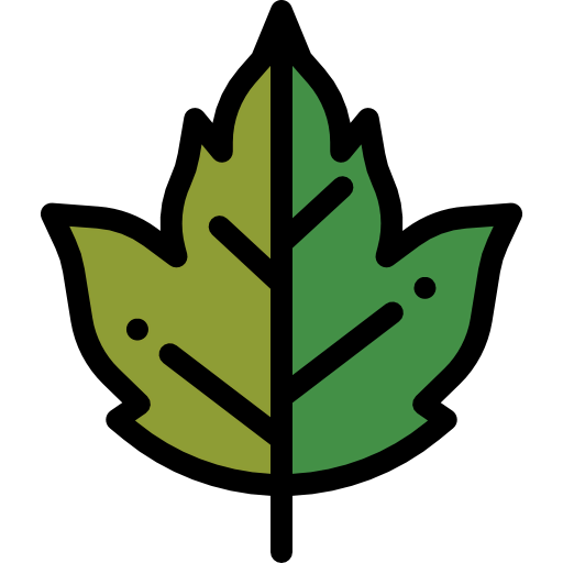Leaf icon
