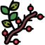 Berries Ikona 64x64