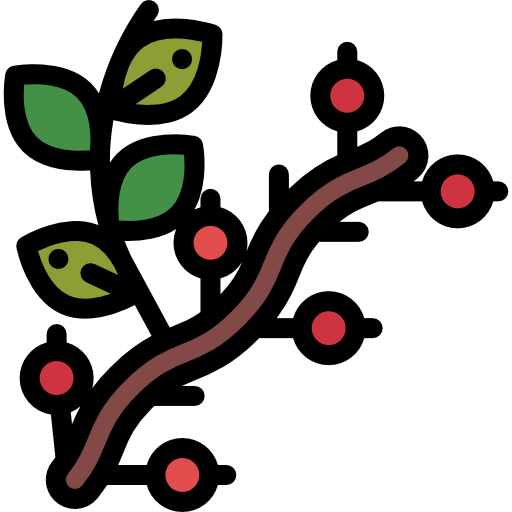 Berries icon