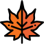 Leaf icon 64x64