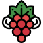 Grapes icon 64x64