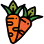 Carrot icon 64x64