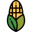 Corn icon 64x64