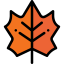 Leaf icon 64x64