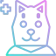 Dog icon 64x64