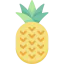 Pineapple icon 64x64