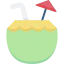 Coconut drink icon 64x64
