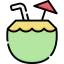 Coconut drink icon 64x64