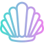 Scallop icon 64x64