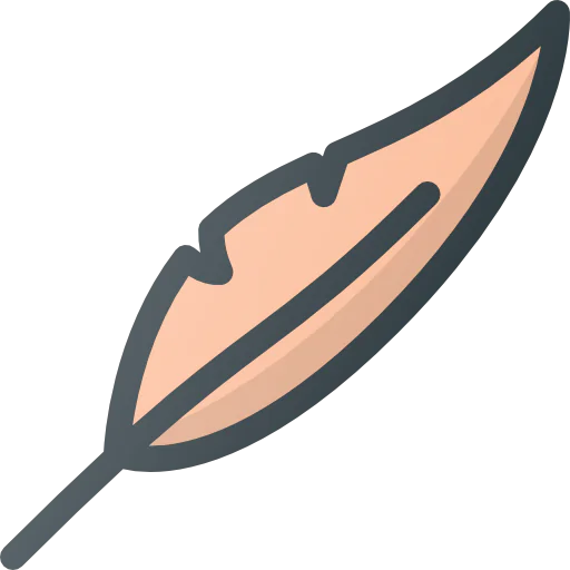 Feather icon