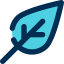 Leaf icon 64x64