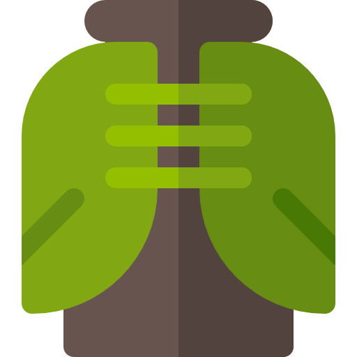 Cape icon