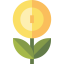 Growth Ikona 64x64
