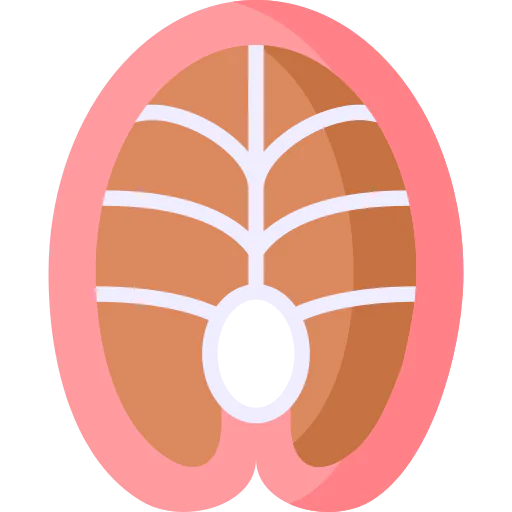 Fish icon