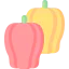 Paprika icon 64x64