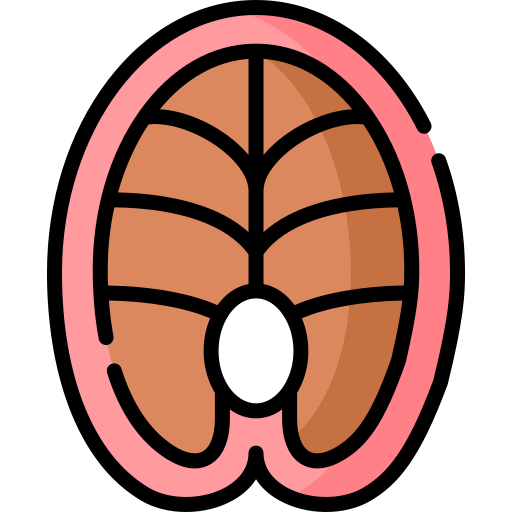 Fish icon