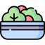 Salad icon 64x64