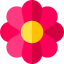 Flower icon 64x64