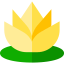 Water lily icon 64x64