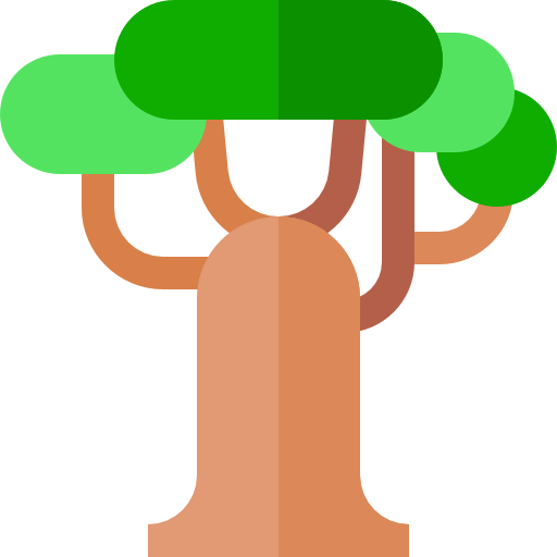 Baobab icon