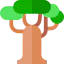 Baobab icon 64x64
