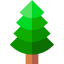 Spruce icon 64x64