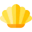 Shell icon 64x64