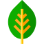 Leaf icon 64x64