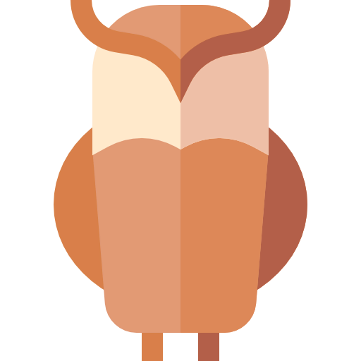 Owl icon