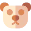 Bear icon 64x64