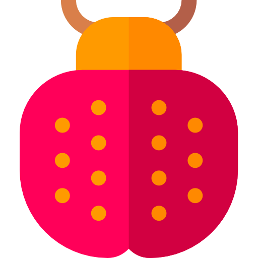 Ladybug icon
