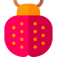 Ladybug icon 64x64
