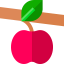 Apple icon 64x64