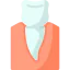 Premolar icon 64x64