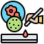 Petri dish icon 64x64