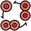 Cell division biểu tượng 64x64