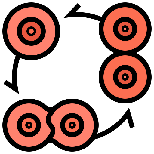 Cell division icon