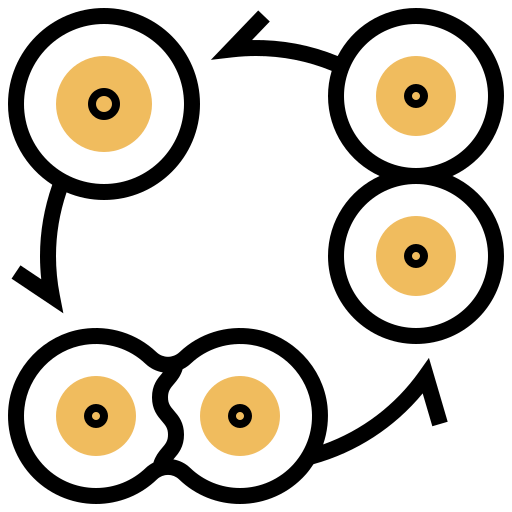Cell division icon