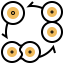 Cell division biểu tượng 64x64