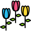 Tulip 图标 64x64