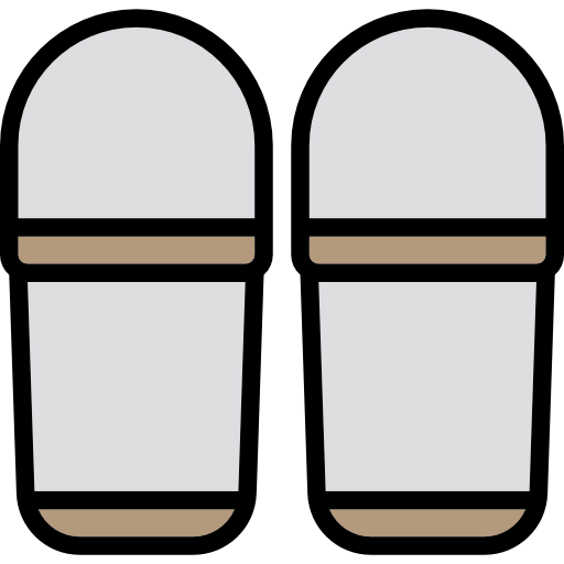 Flip flops icon