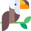 Toucan icône 64x64
