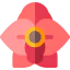 Orchid icon 64x64
