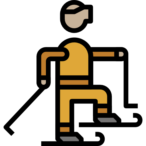 Ski icon