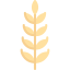 Wheat grain アイコン 64x64