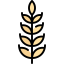 Wheat grain アイコン 64x64