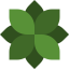 Flower icon 64x64
