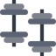 Dumbbell icon 64x64